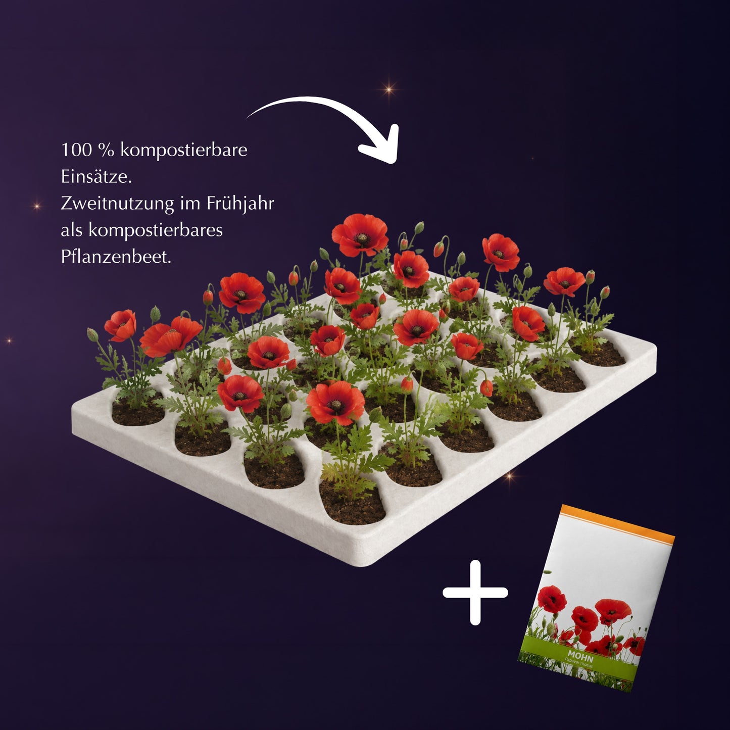Nachhaltiger Adventskalender 2026